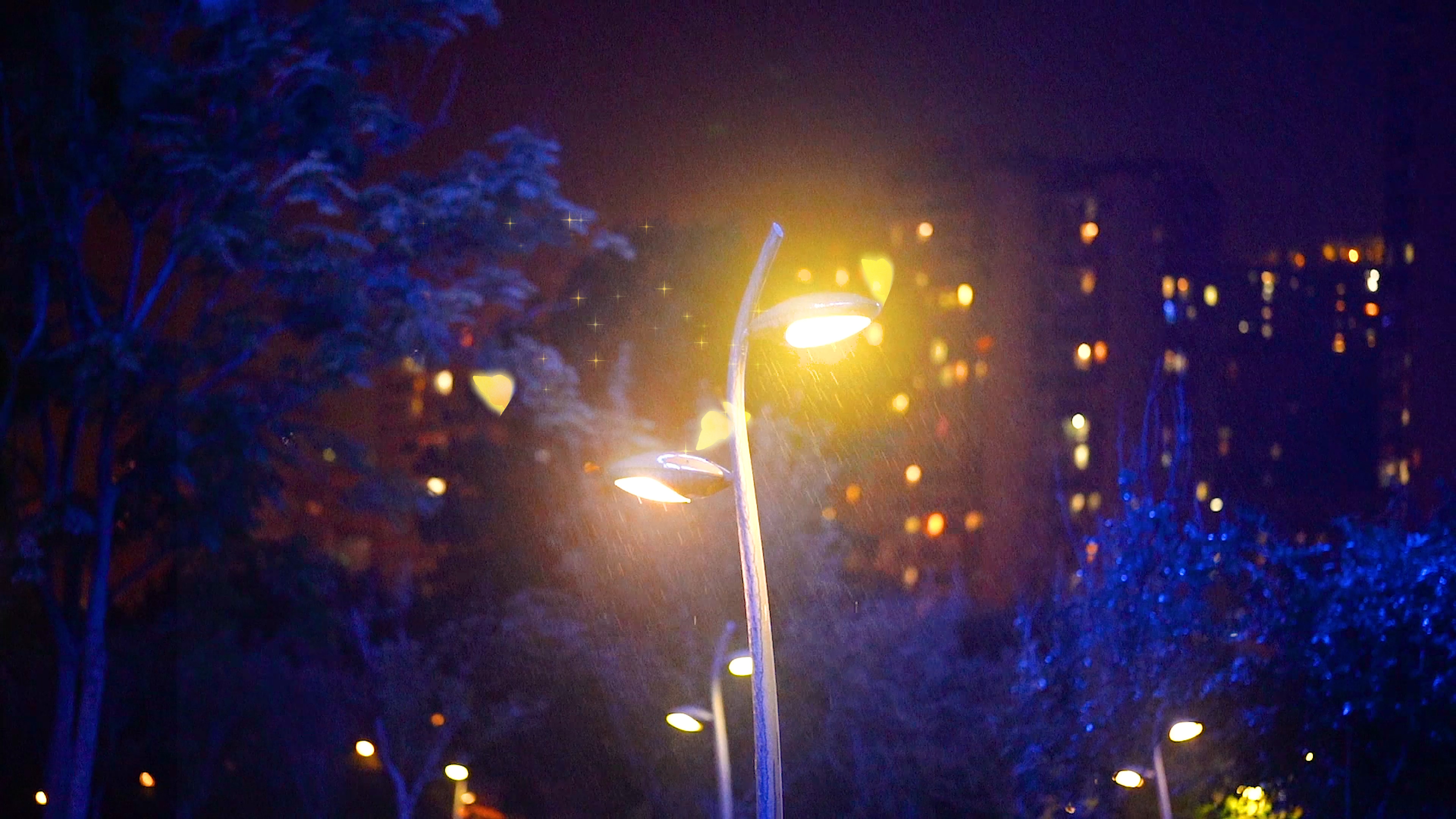 灯光下的夜精灵