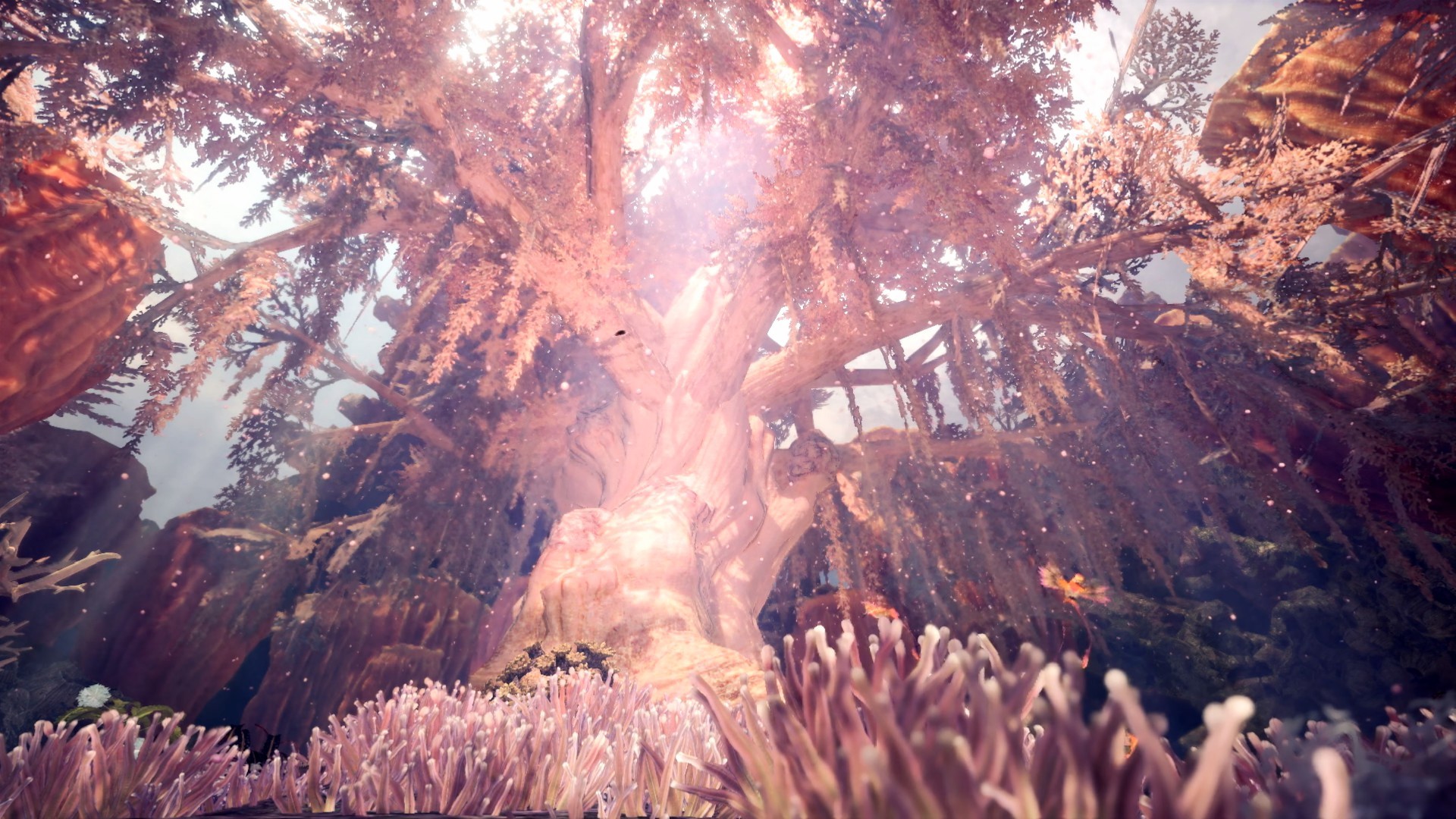 樱花树(风景静态壁纸) - 静态壁纸下载 - 元气壁纸