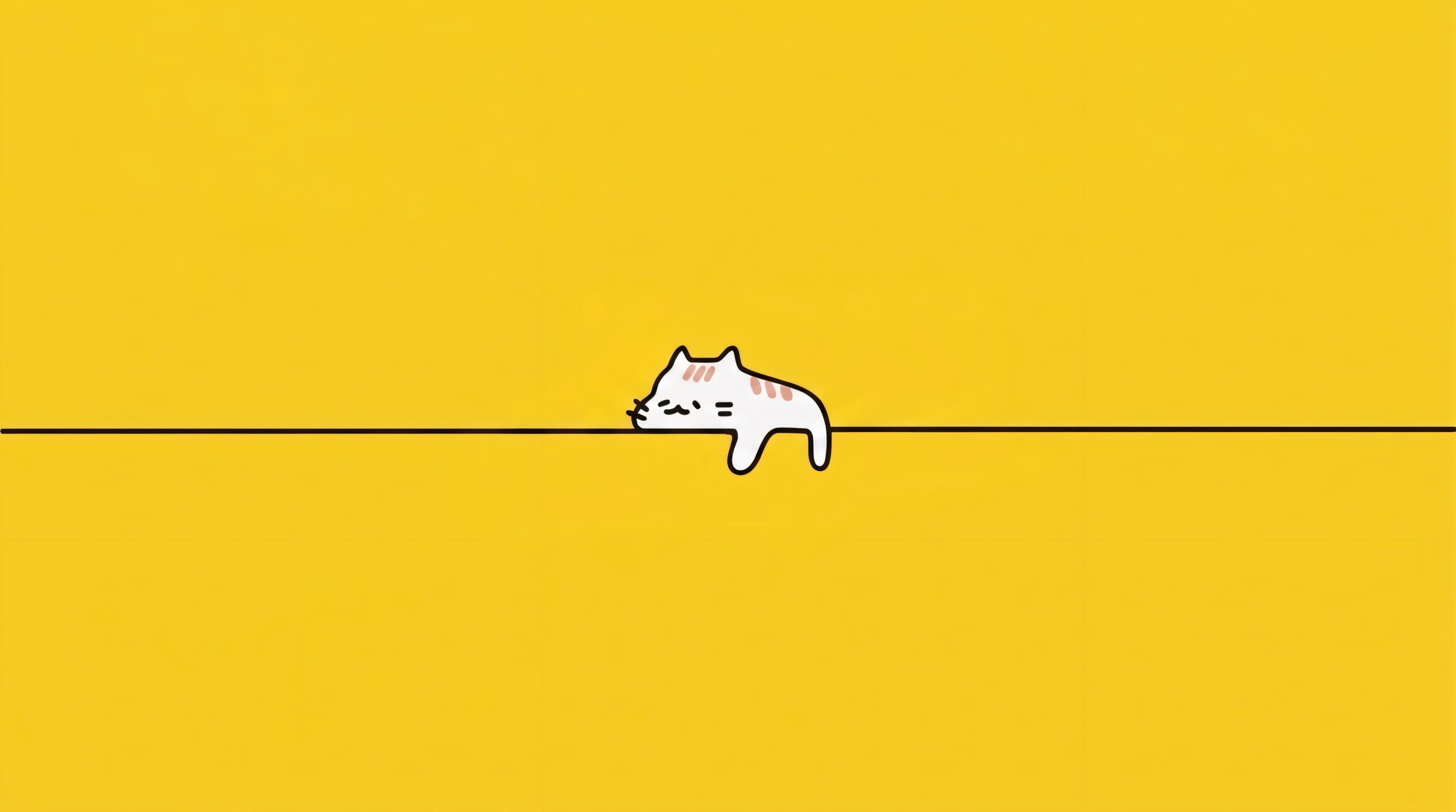 懒猫 4k