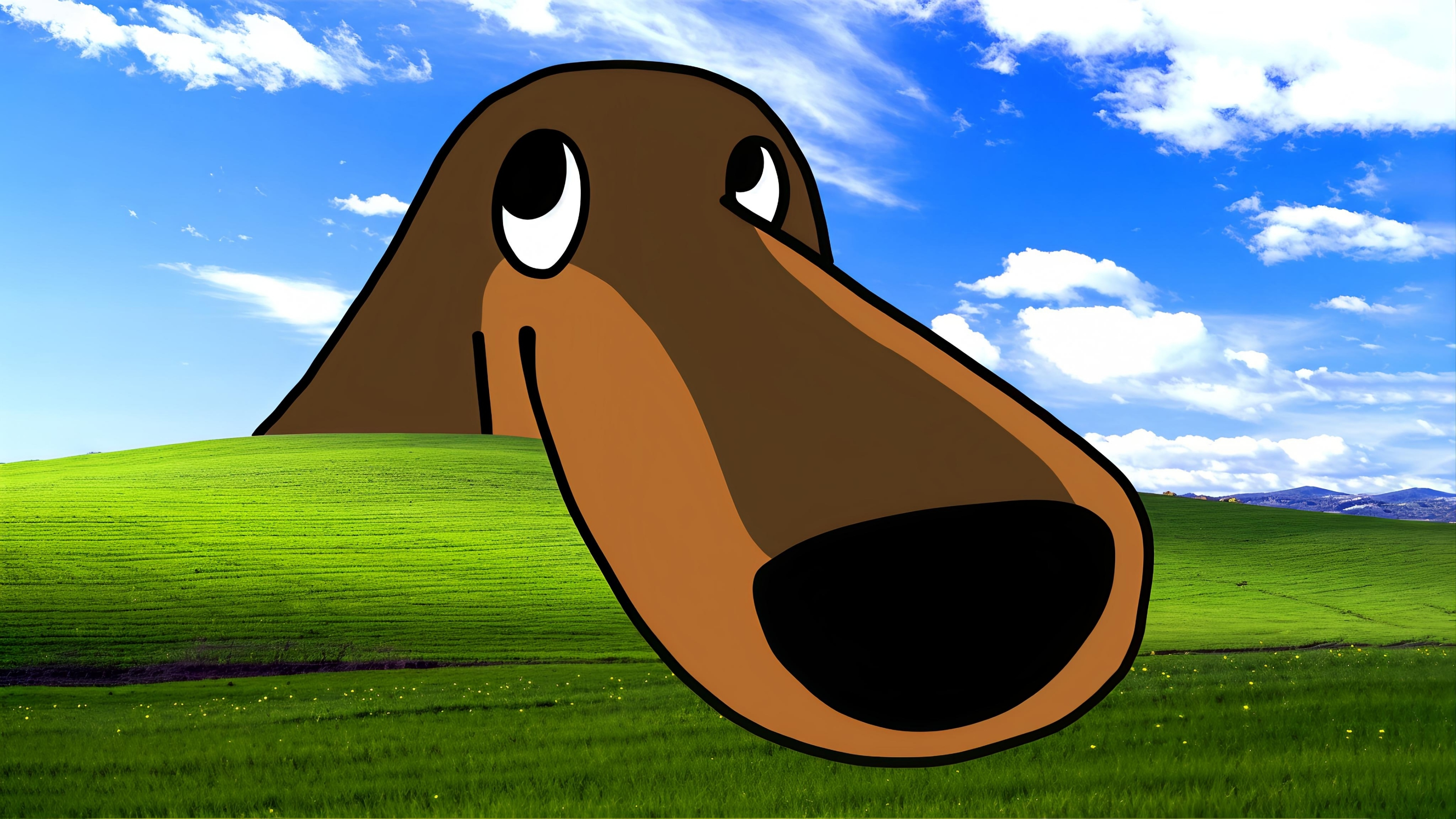 大鼻子狗