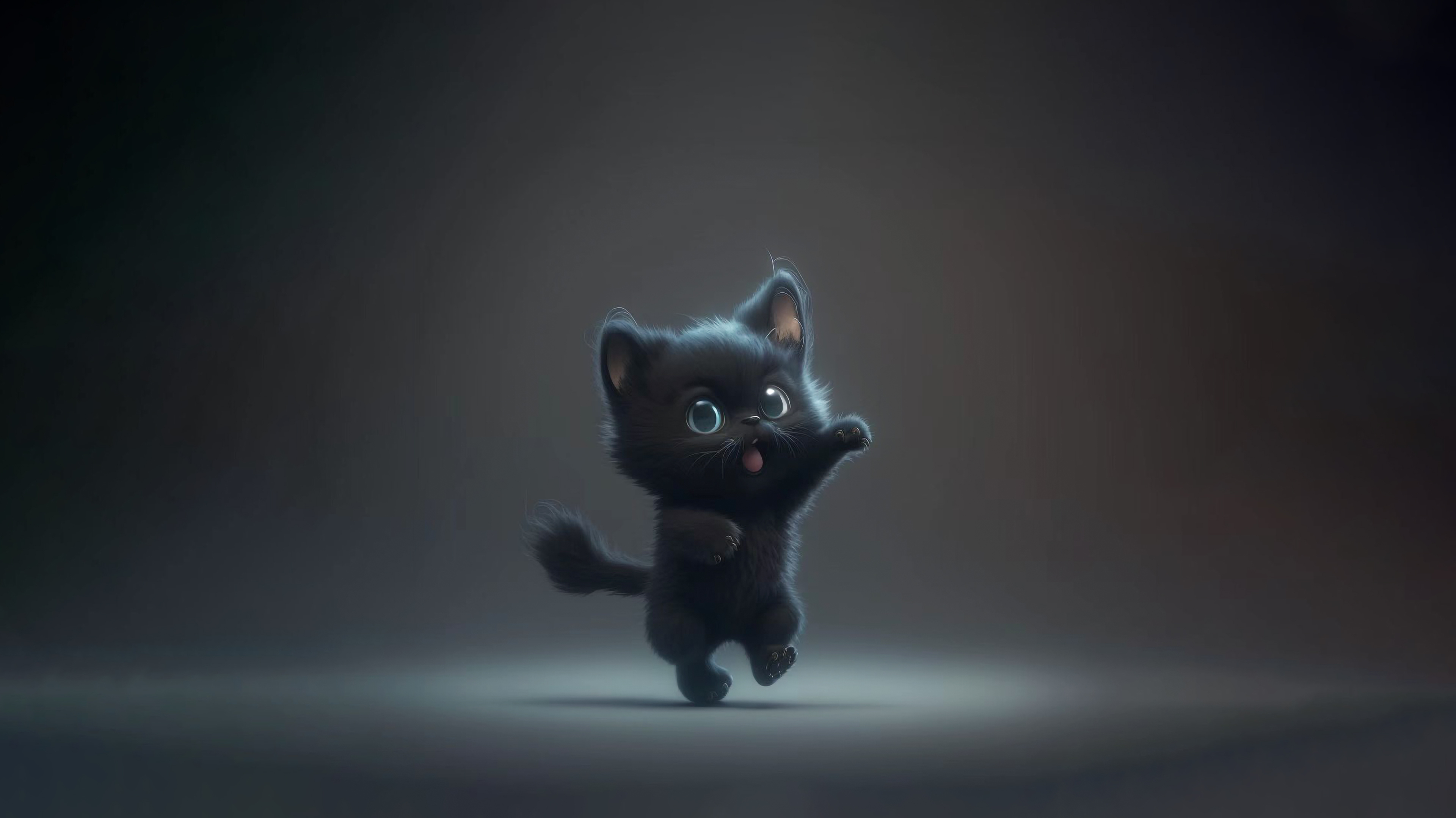 黑猫 4K