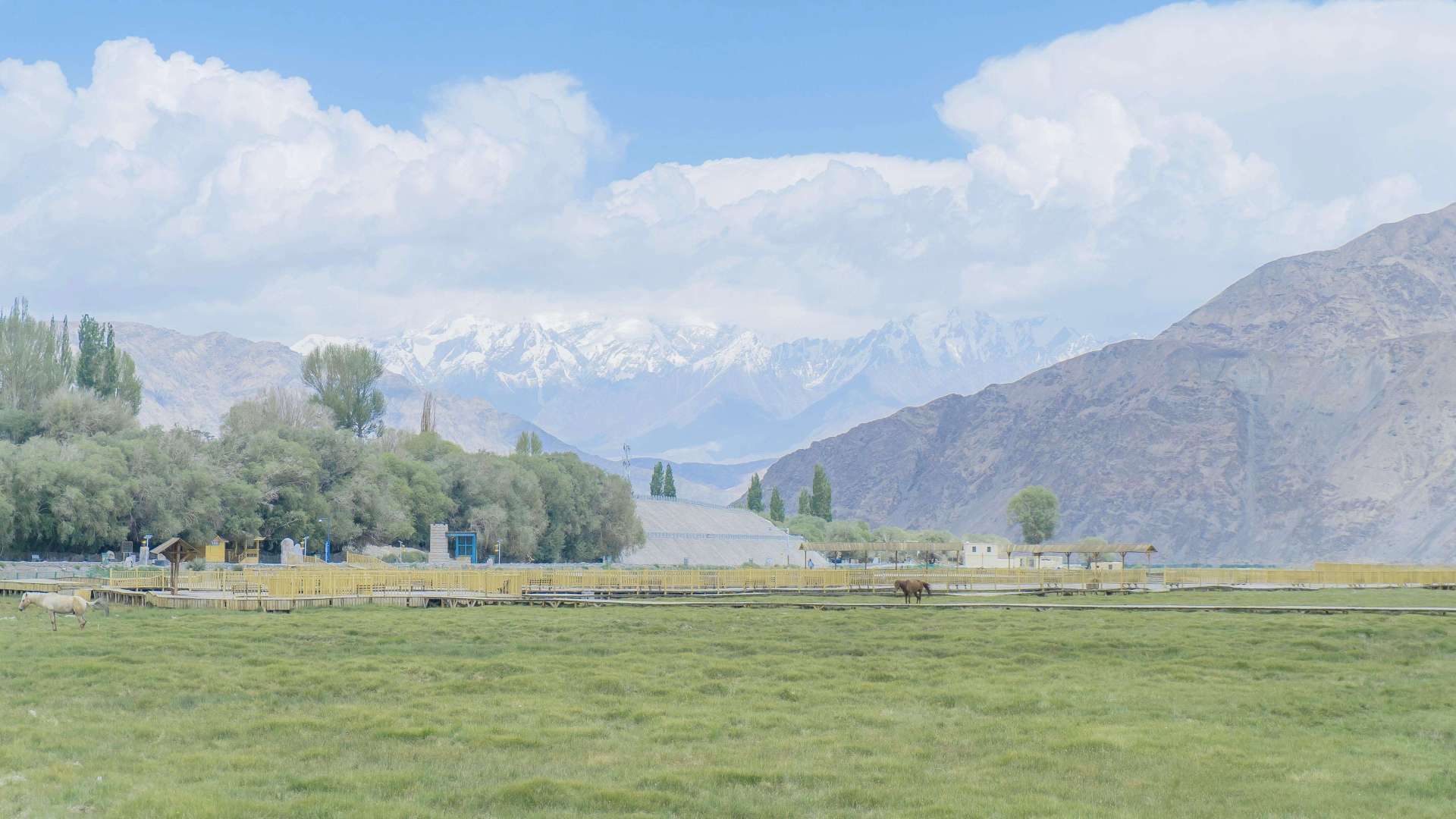 开阔青绿色草原向远方铺展，尽头是覆雪远山与浅蓝天空，山麓露出浅褐色岩土，整体浅淡清新。