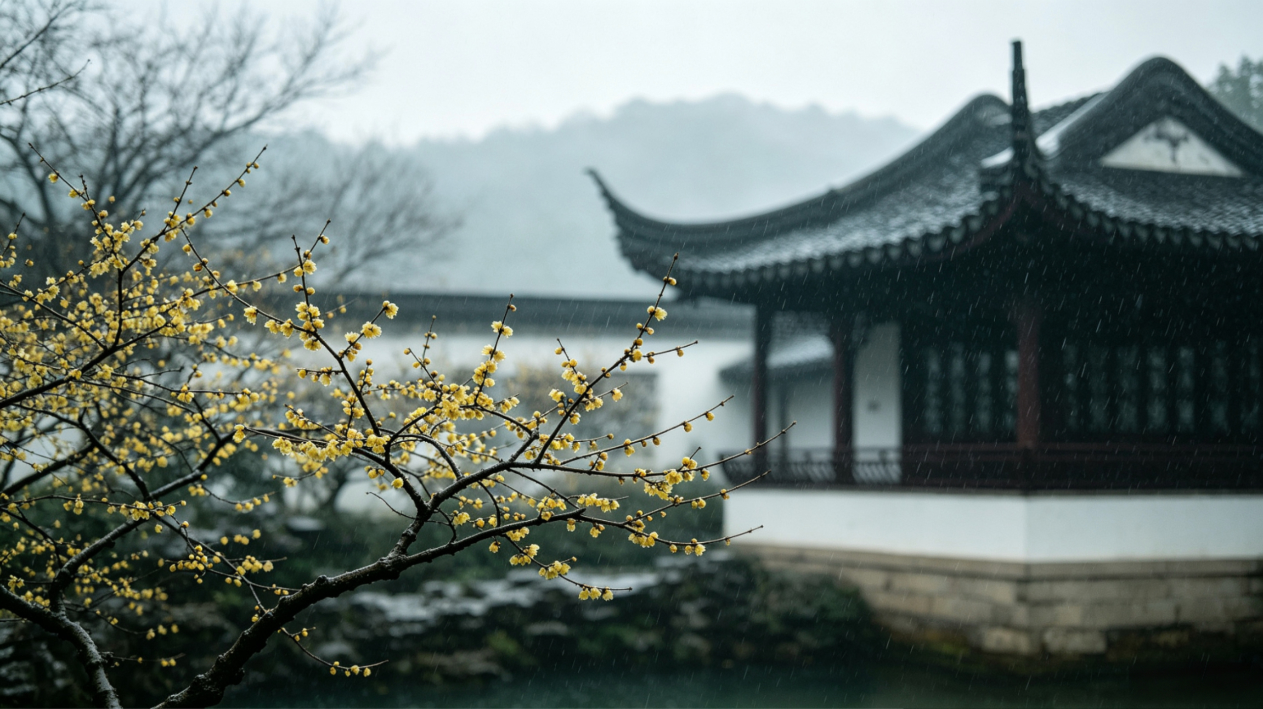 寒檐腊雨