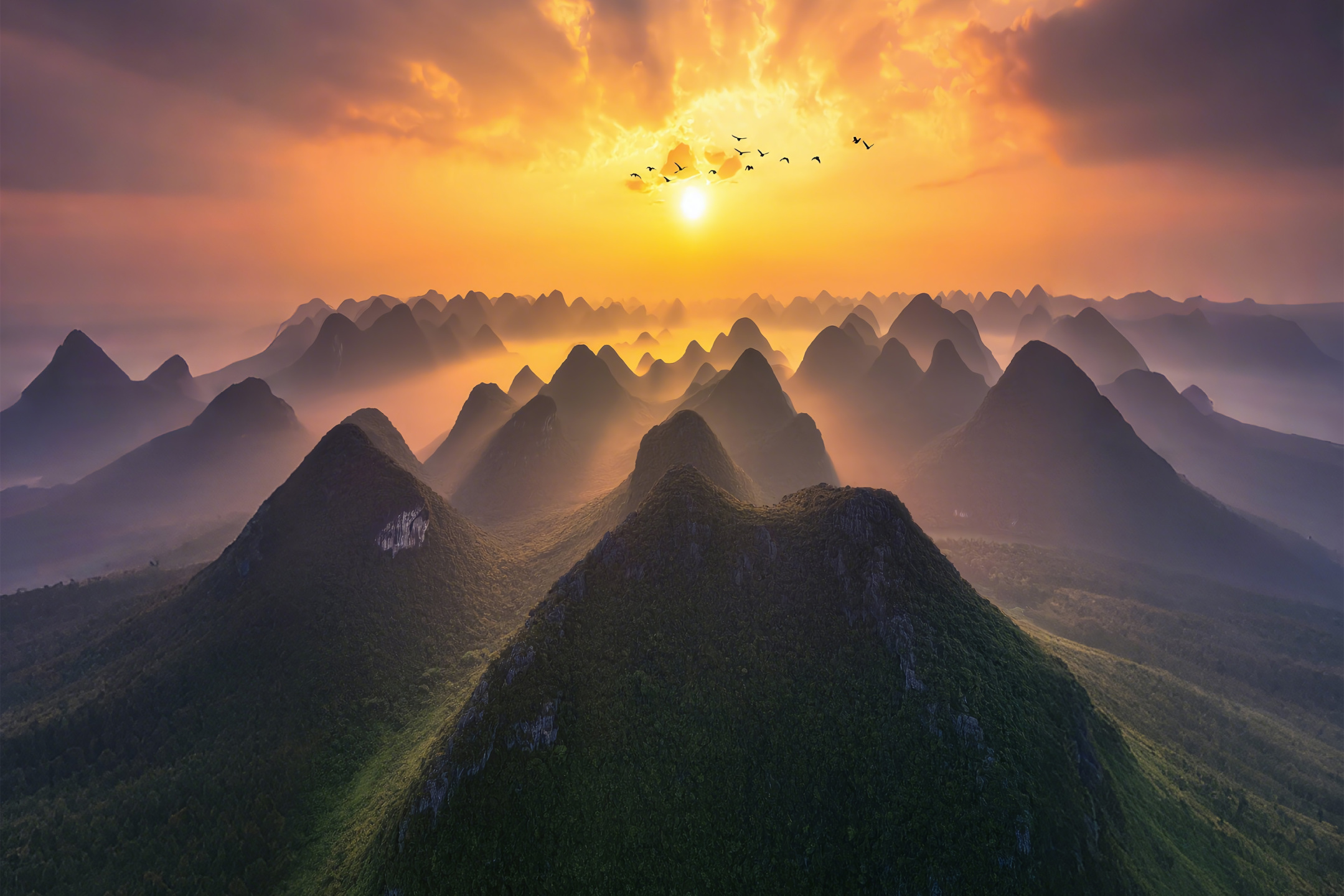 曦峦鸣晨