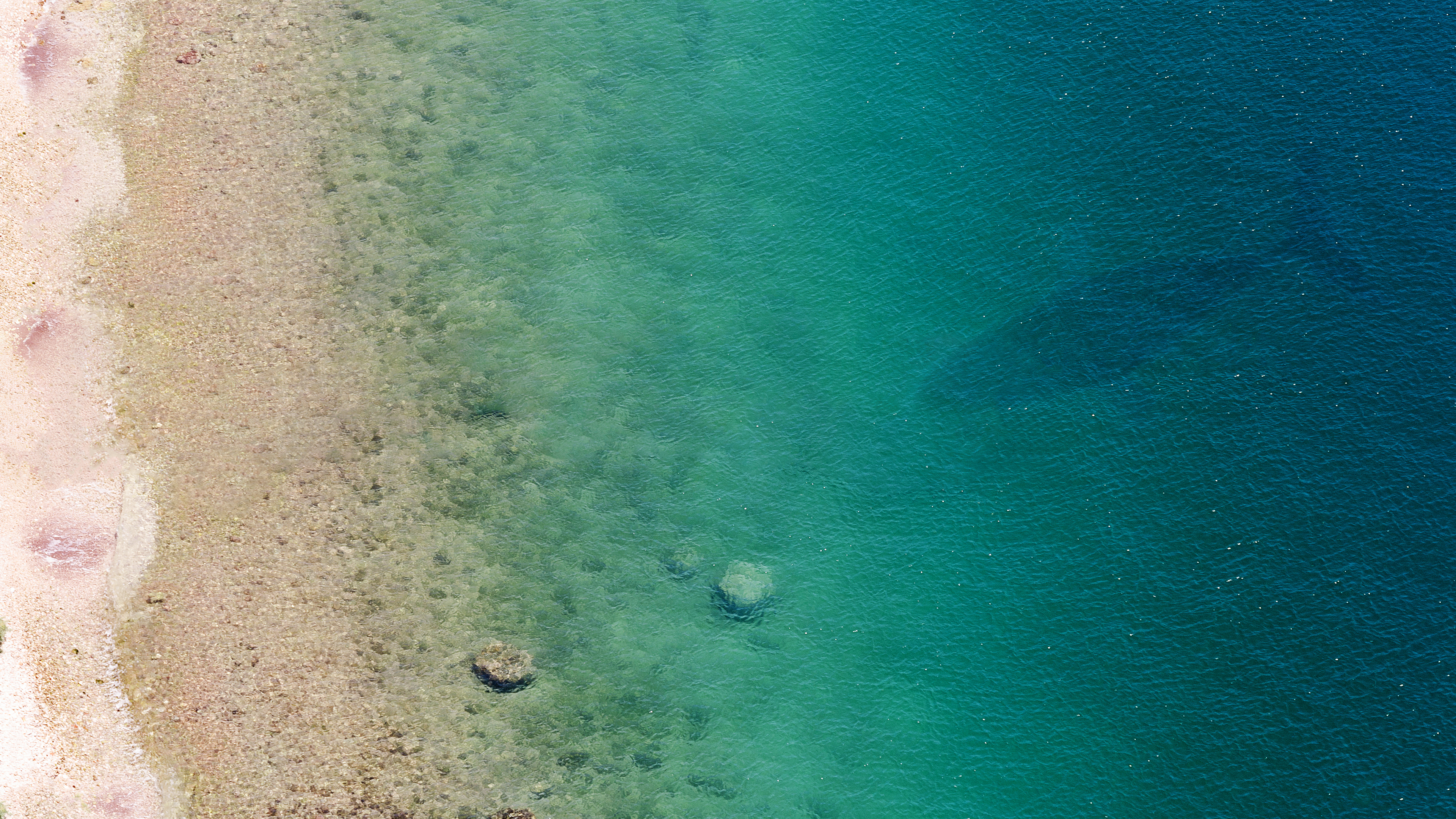 海鲸自来