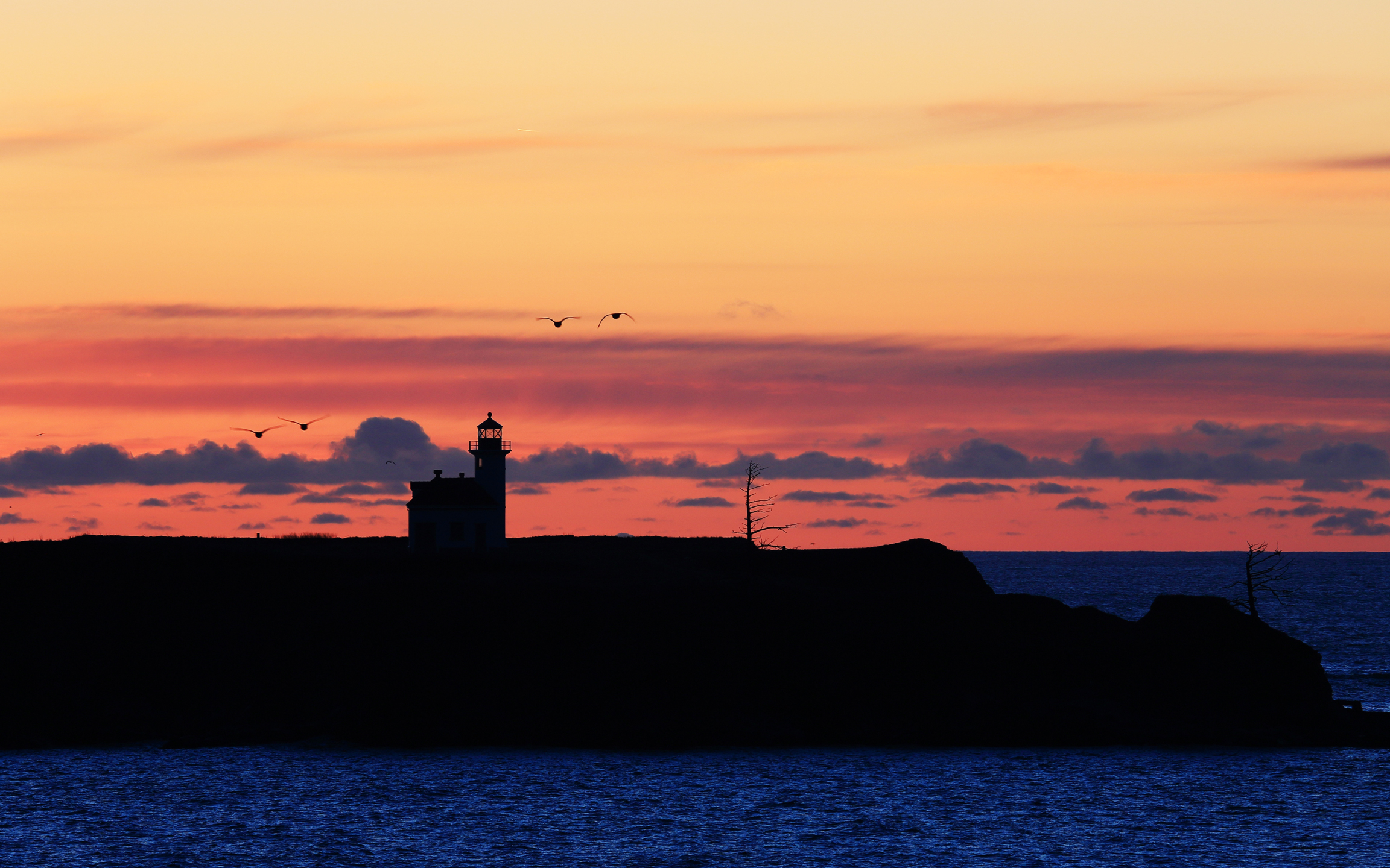 下载高清原图安装元气桌面,海量壁纸一键设置尺寸:3200x2000体积:3.