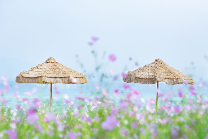 花甸闲伞