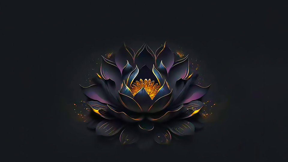 4K 佛系 紫色大莲花