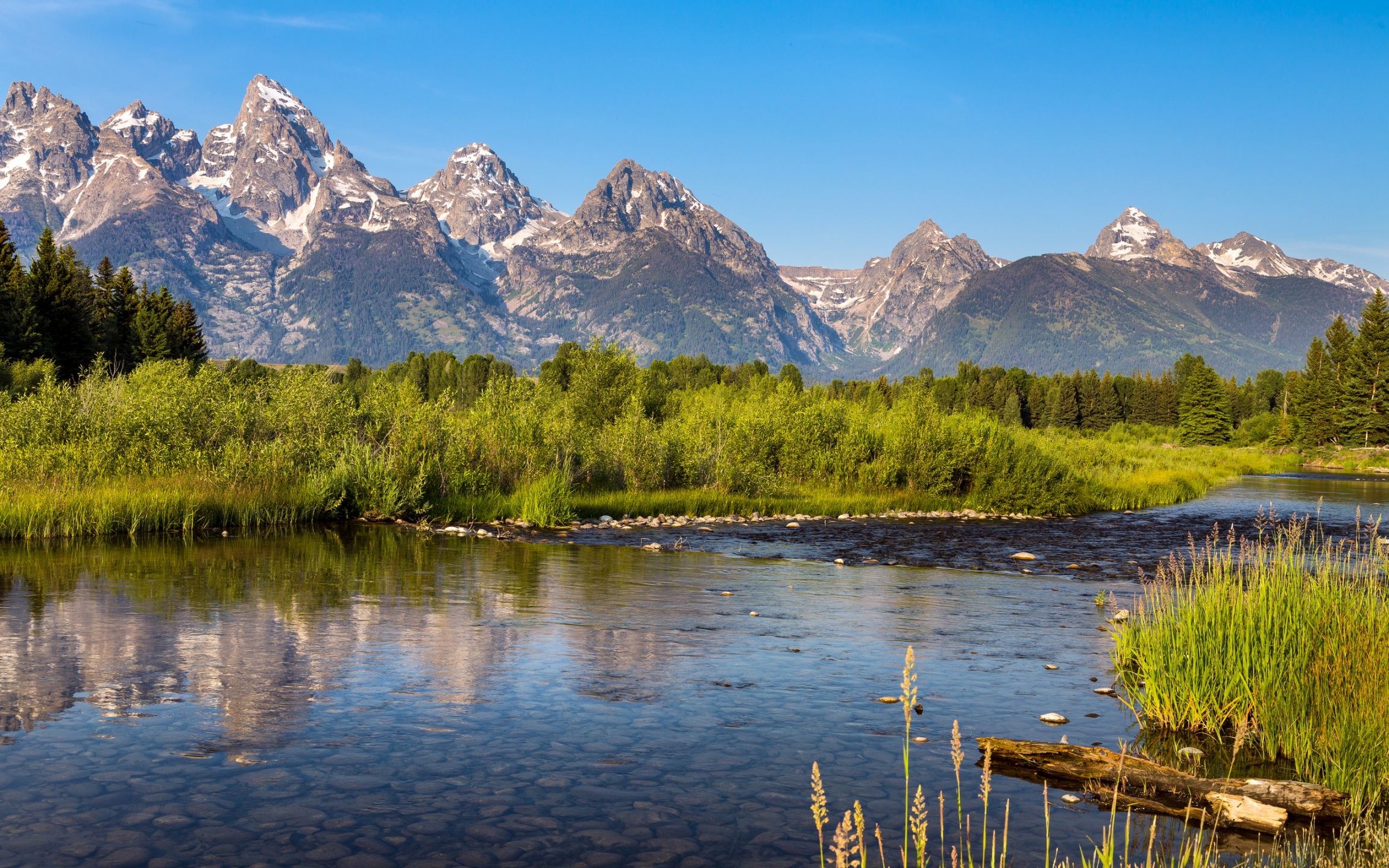 经济下行，大家都开始不装了