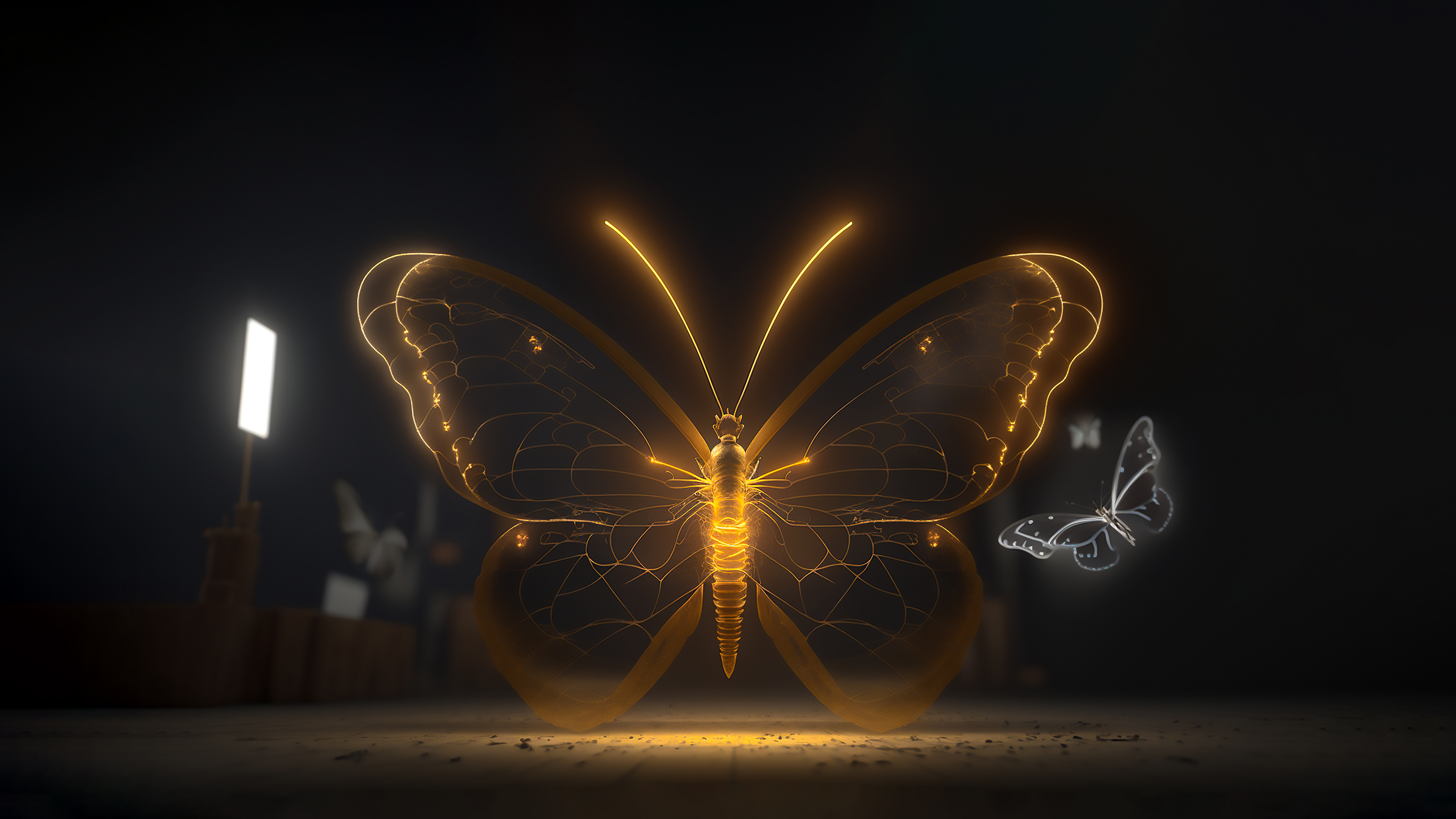 4K 荧光蝴蝶