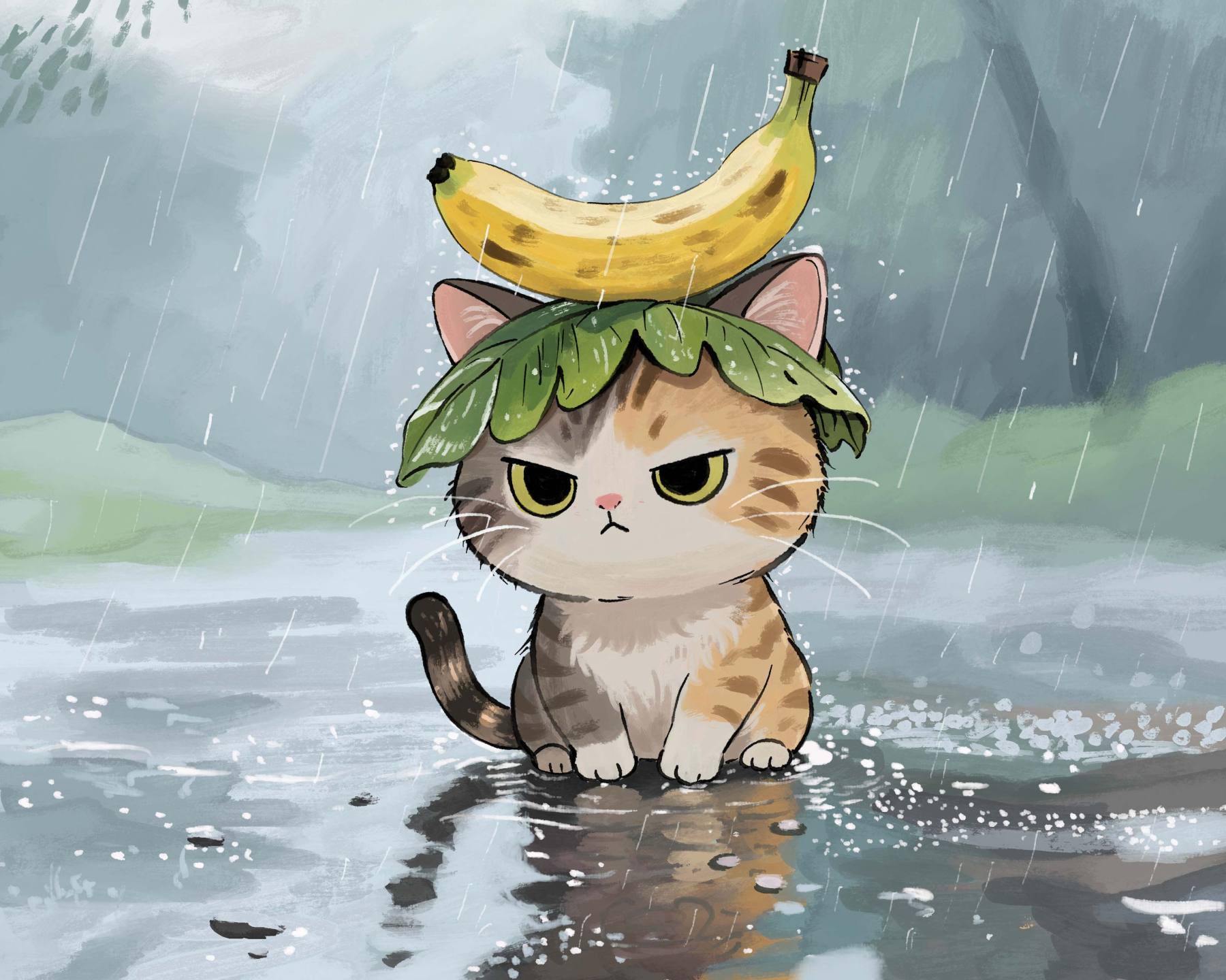 雨中小猫 蕉叶傲娇