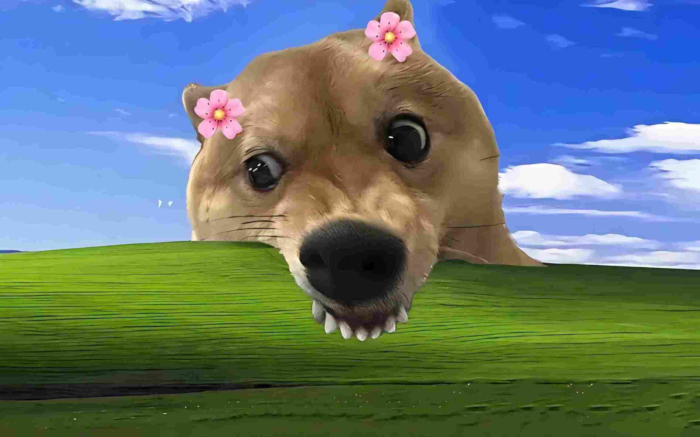 翠花