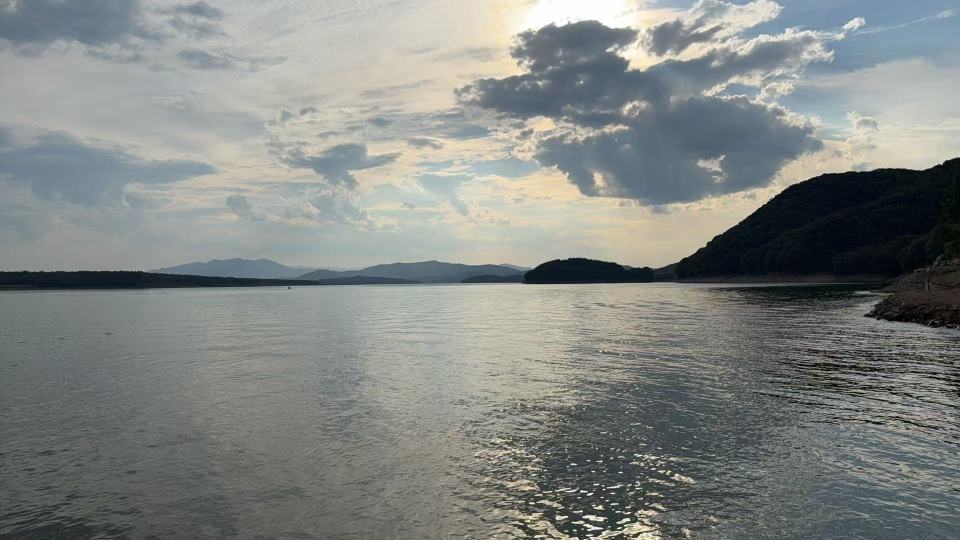 海
