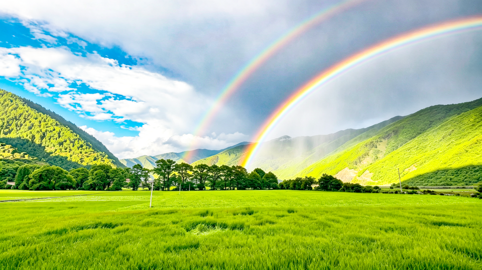 空山新雨后