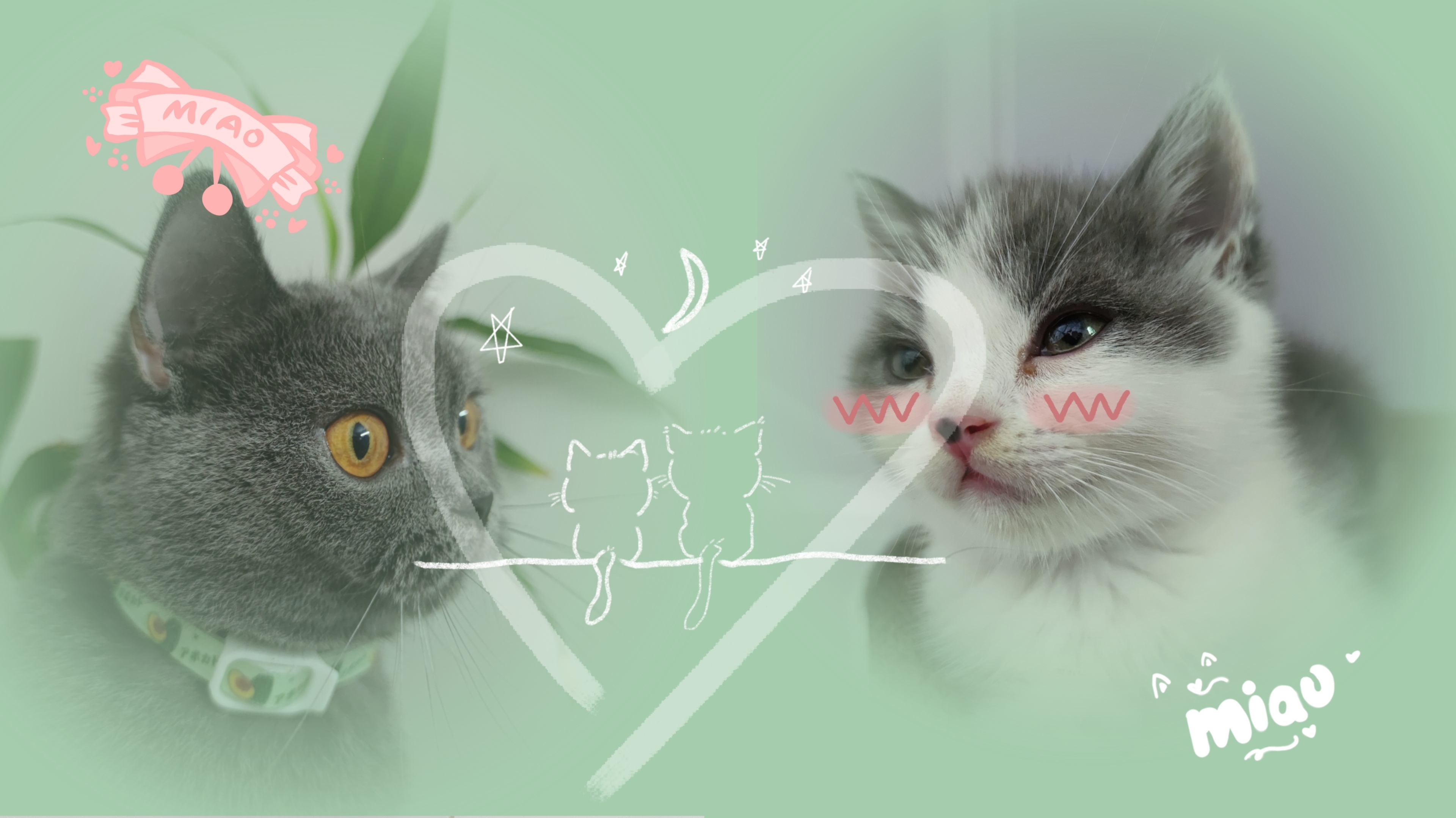 可爱猫猫情侣头像 - 高清图片，堆糖，美图壁纸兴趣社区