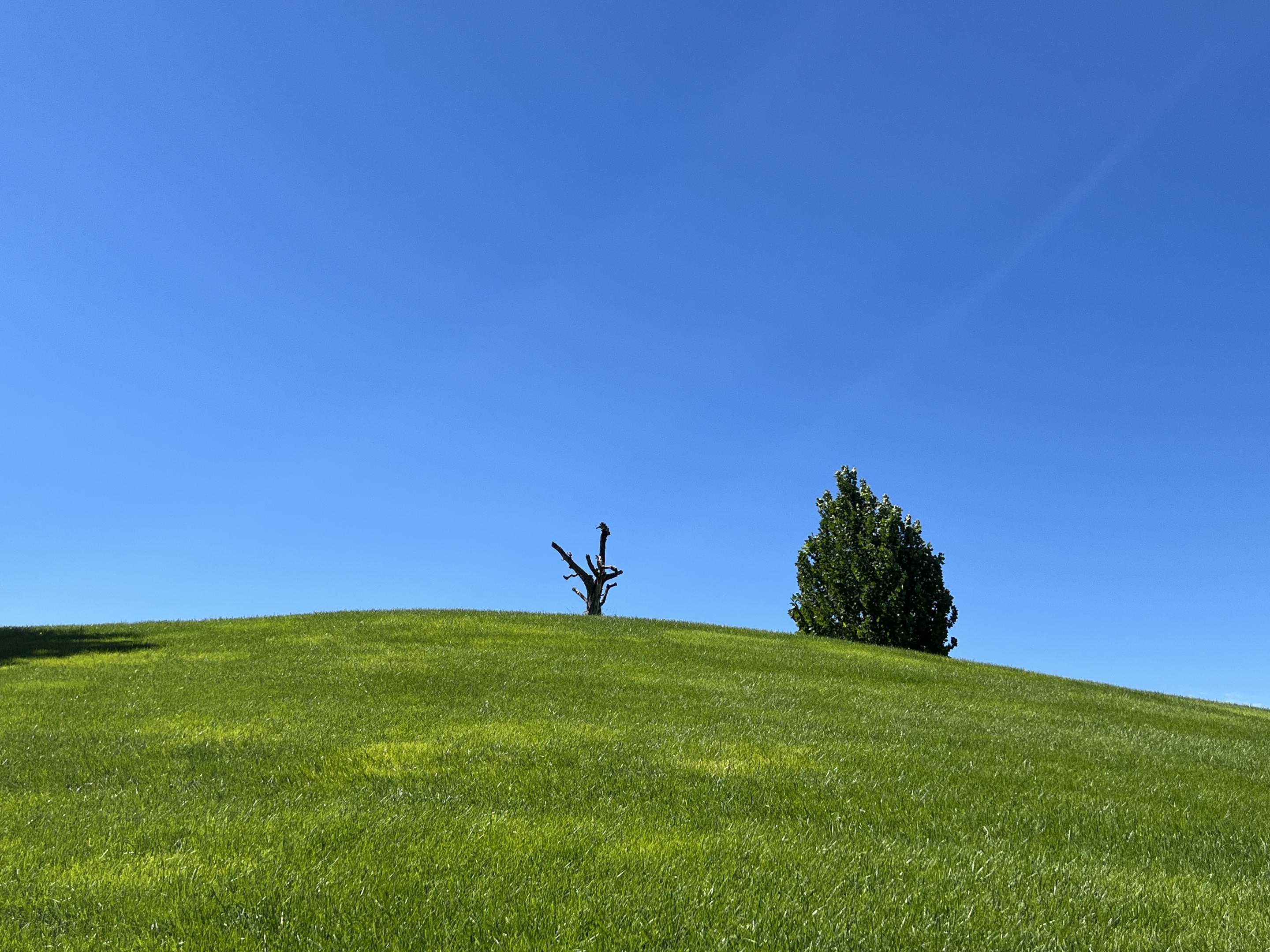 生机(风景静态壁纸) - 静态壁纸下载 - 元气壁纸
