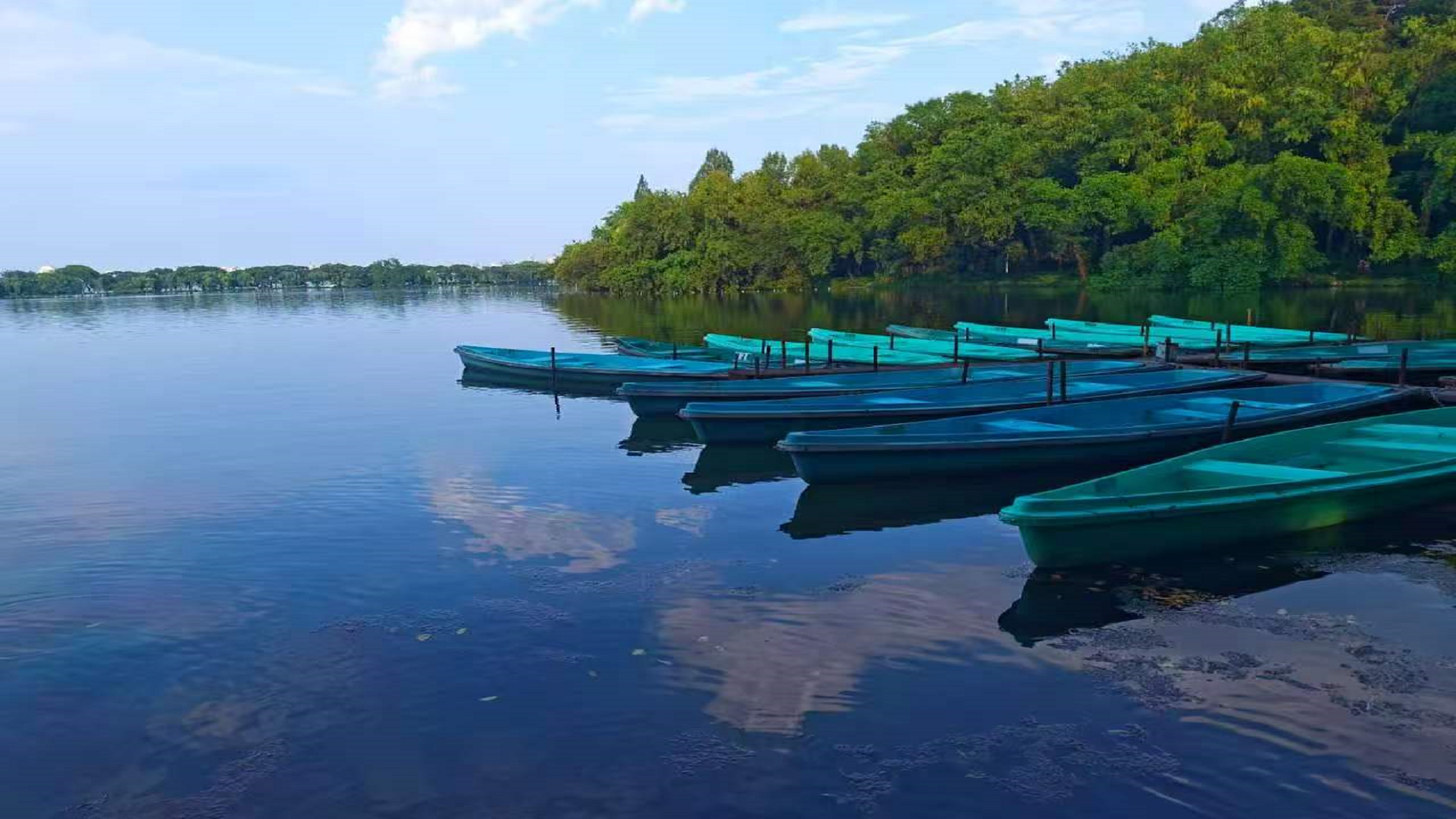 一湖清宁