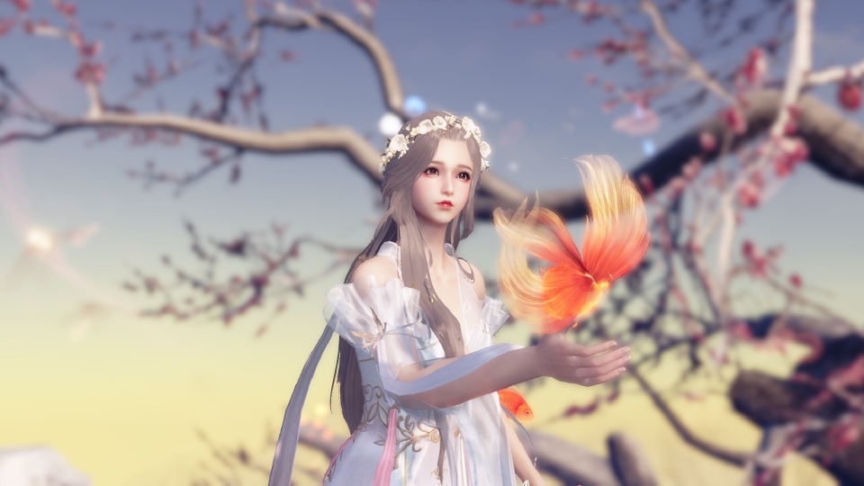 天涯明月刀ol芳姿天华风华成女
