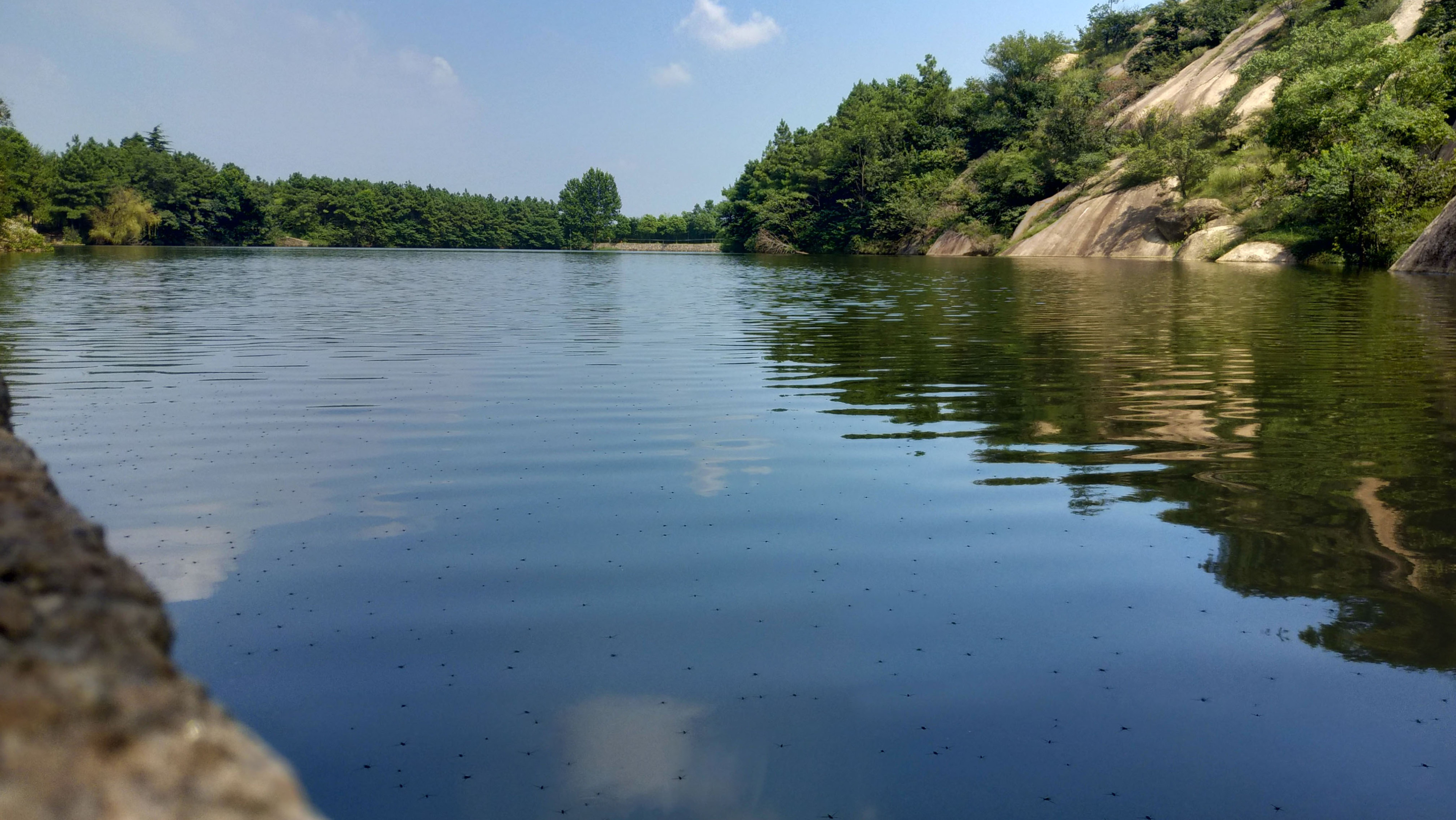 山间流水蜉蝣