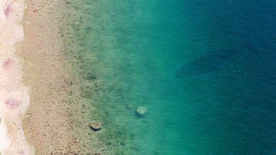 海鲸自来