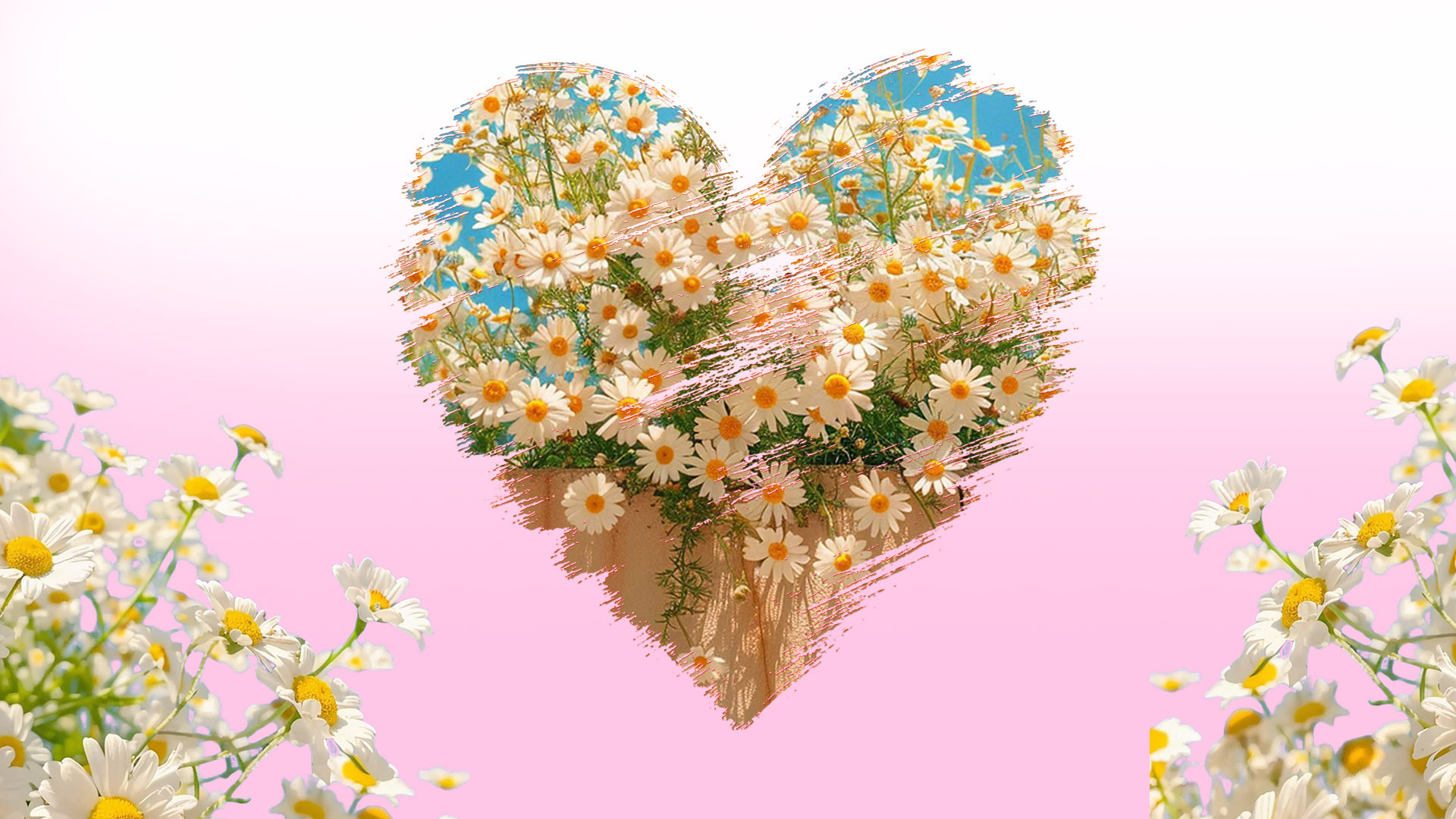 春天爱心里的花  