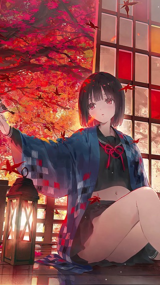 枫落满楼