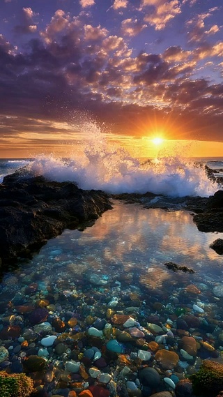 紫霞与浪的邂逅