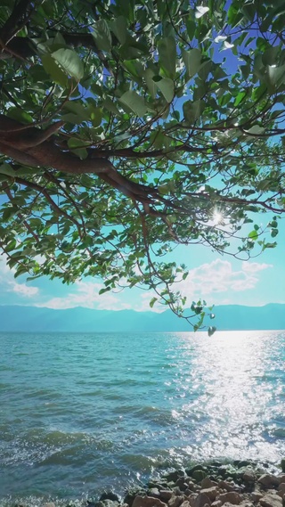 天晴洱海