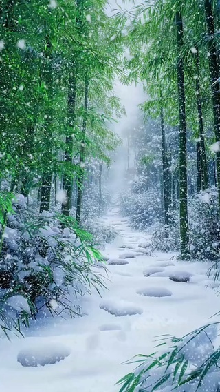 竹林雪景