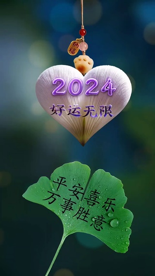 2024 好运无限