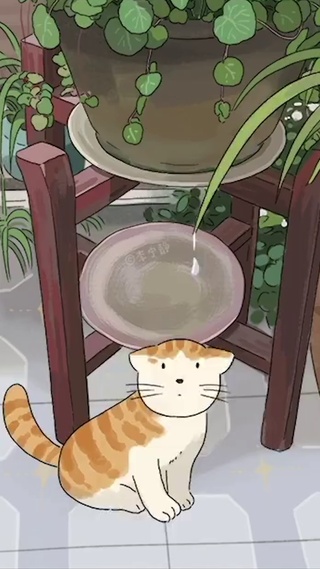 迷茫的猫咪