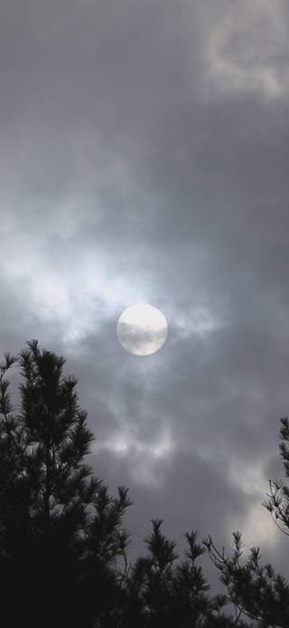 满月