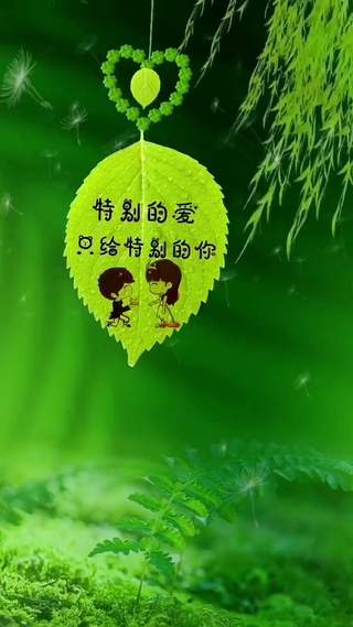 特别的爱只给特别的你
