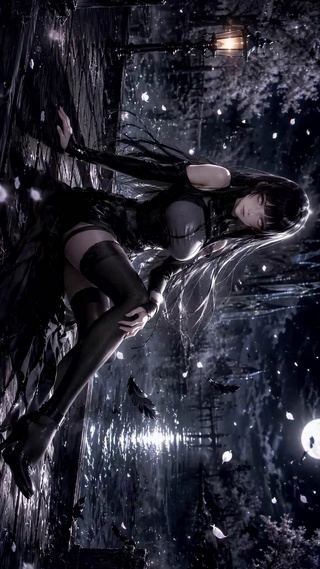 月夜暗影少女