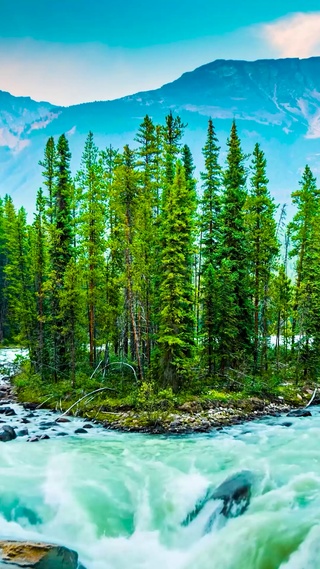 高山护眼自然河流