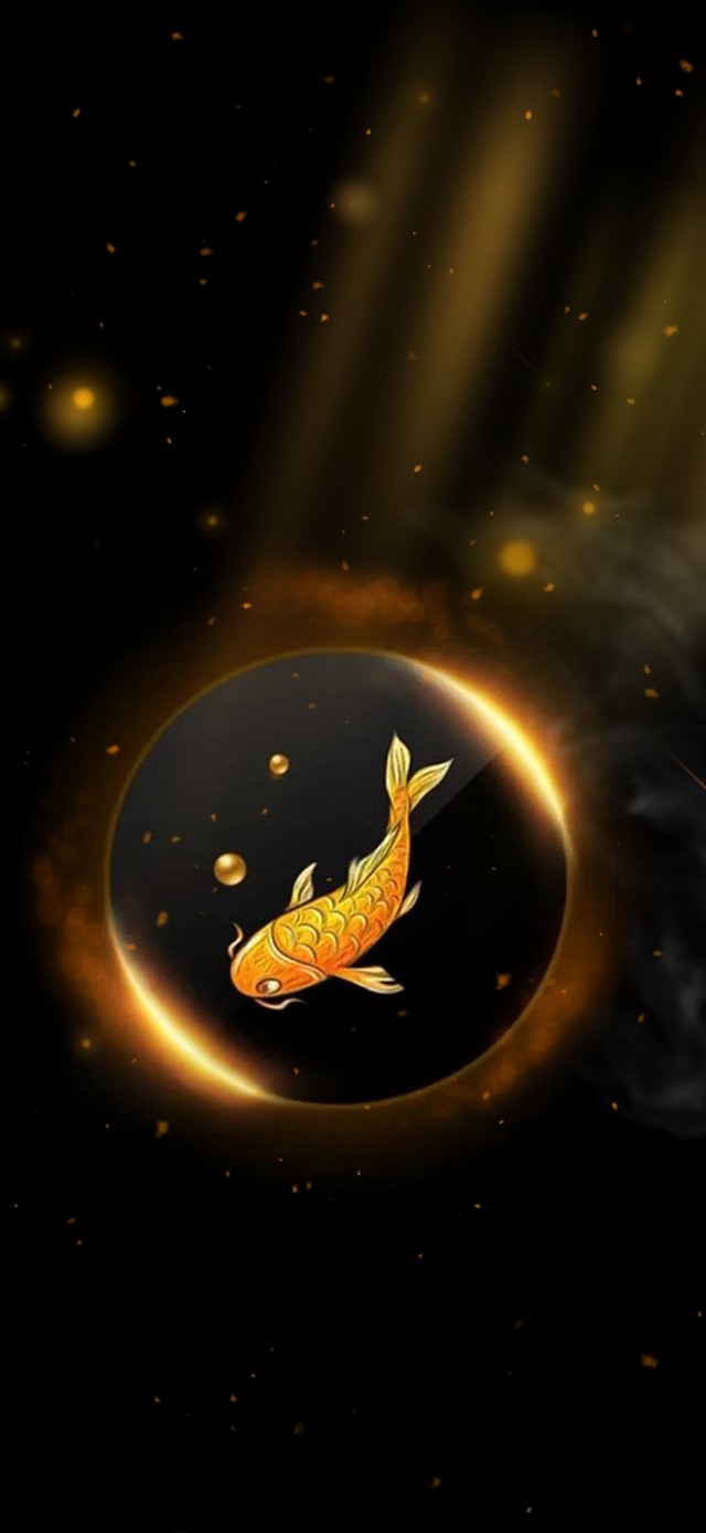 鱼鱼生辉 偏财滚滚来