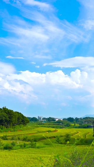 蓝天白云乡村田野