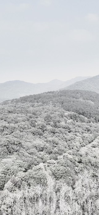 竖屏大雪封山