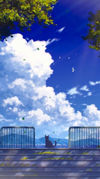 唯美治愈插画台阶猫咪