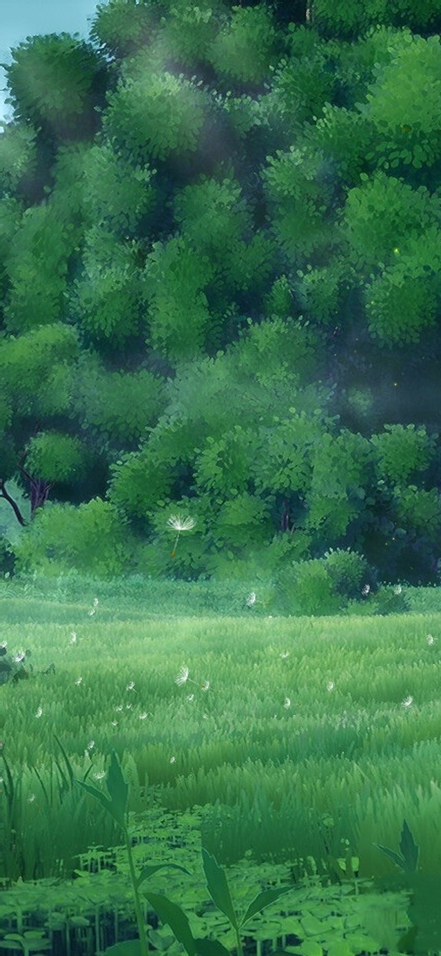 唯美治愈护眼森林