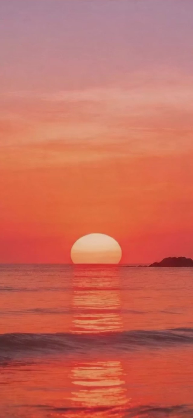 每日一言