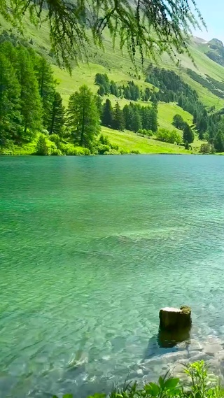 4K夏日高山绿水湖