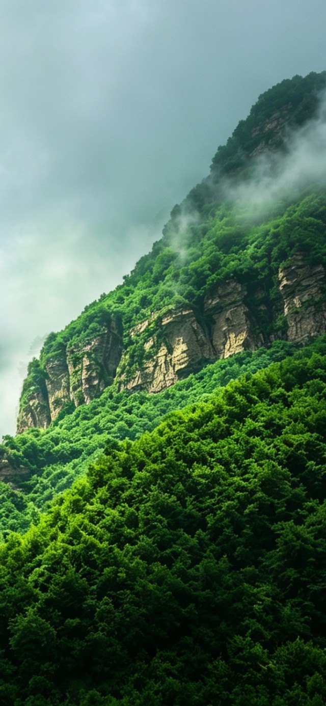 青山依旧在