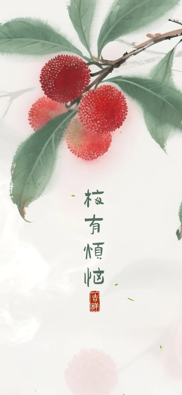 梅有烦恼