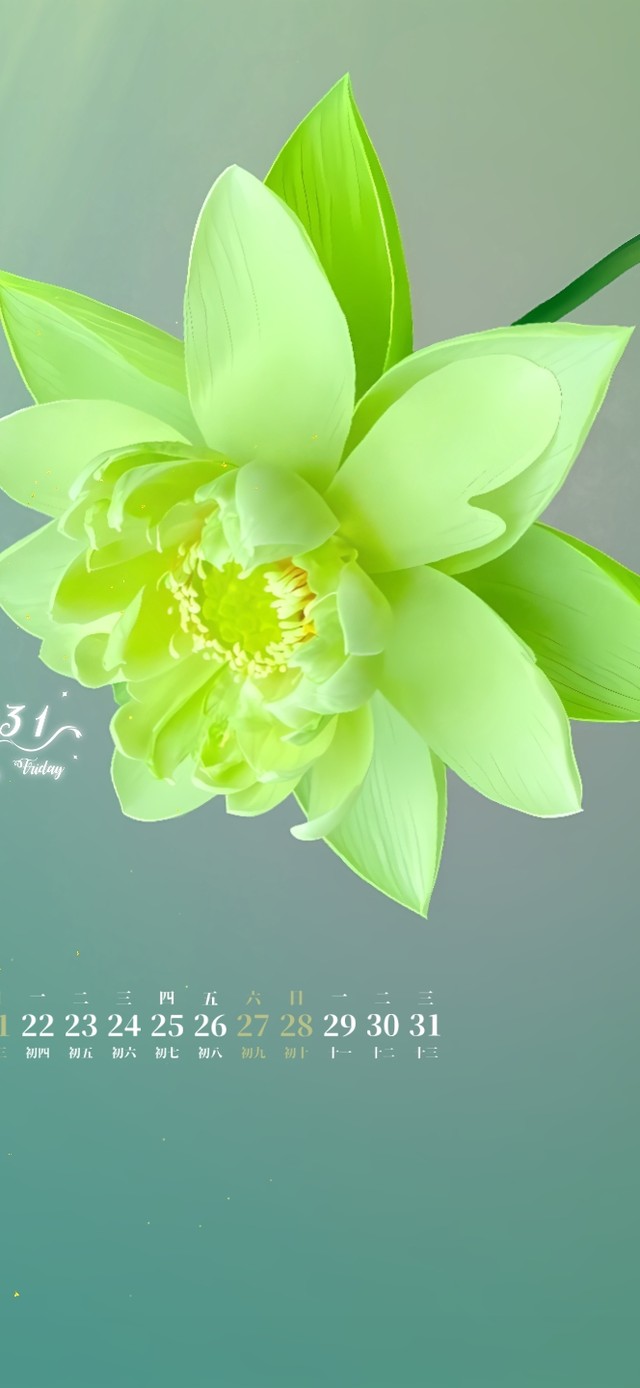 向阳而生 （治愈护眼）