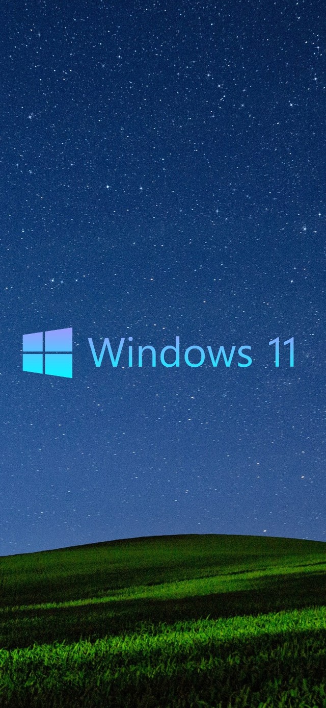 4k星空草原win11