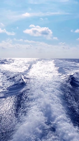 【4K蓝色浪花朵朵】