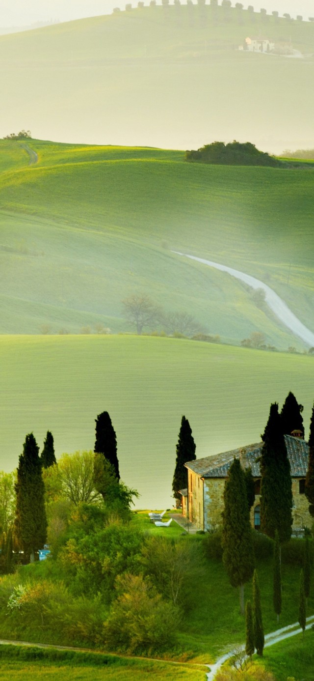 清新绿草地 心旷神怡