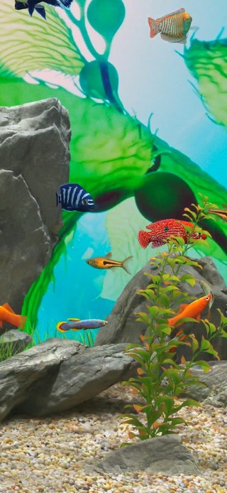 护眼水族馆