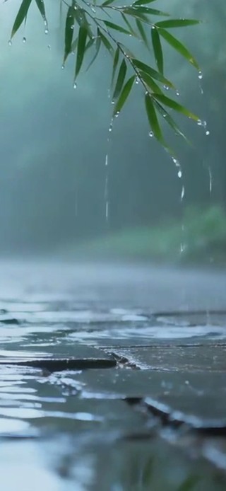 细雨竹林